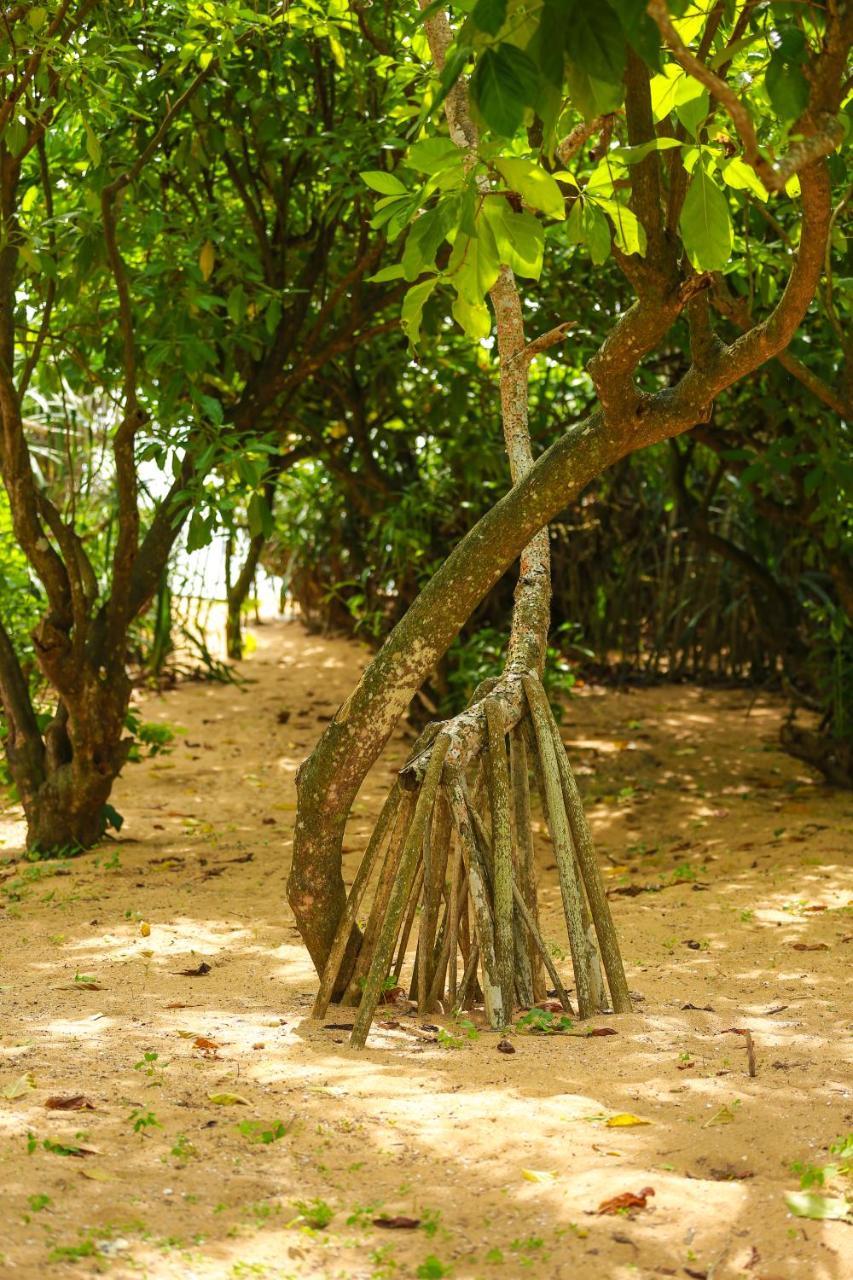 Rathgama Beach House מראה חיצוני תמונה